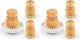 Ceramics Base + 3p Sisal Brushes - Regular size (Pack of 2)