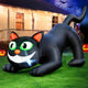 7FT Black Cat