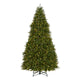 10ft - Tree