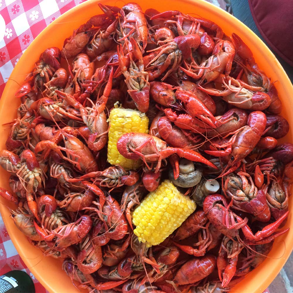 Zatarain's Crawfish, Shrimp & Crab Boil 4.5 lb – Thoughtful Gift for the Outdoor Cook Who Loves a Backyard Boil
