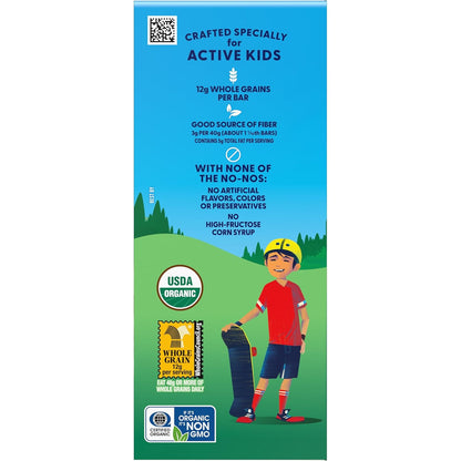 Zbar Iced Oatmeal Cookie – Individually Wrapped Granola Bars for Daycare and After-School Snacks, USDA Organic (18 Pack)