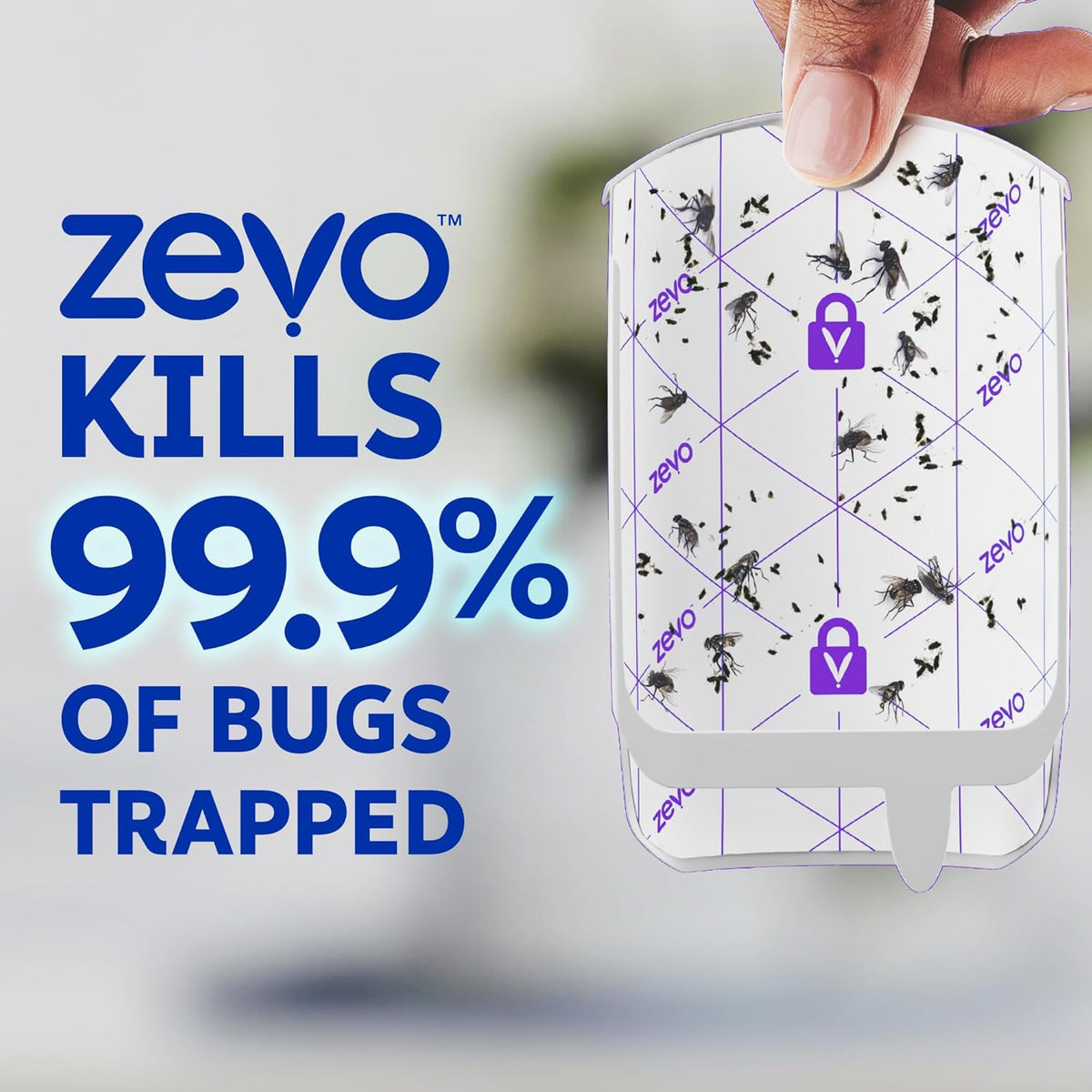 Zevo Fruit Fly and Gnat Trap – Quiet Bug Catcher for Bedrooms and Reading Nooks, Restful Pest-Free Evenings